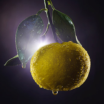 japanese yuzu extract