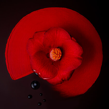 japanese tsubaki oil